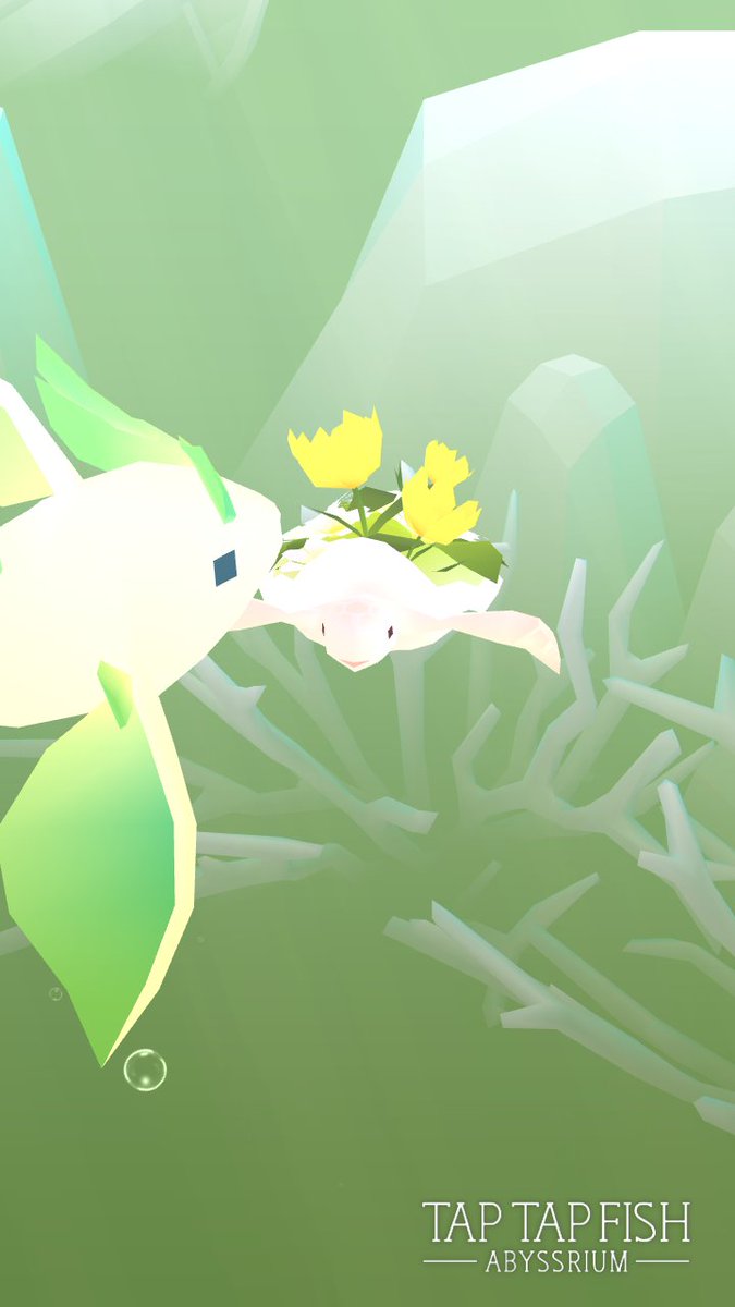 Arthas0231's tweet photo. 我的 花園龜:) 
#taptapfish
Download: https://t.co/wEPQ98bQYR https://t.co/fTB8MA6A3j