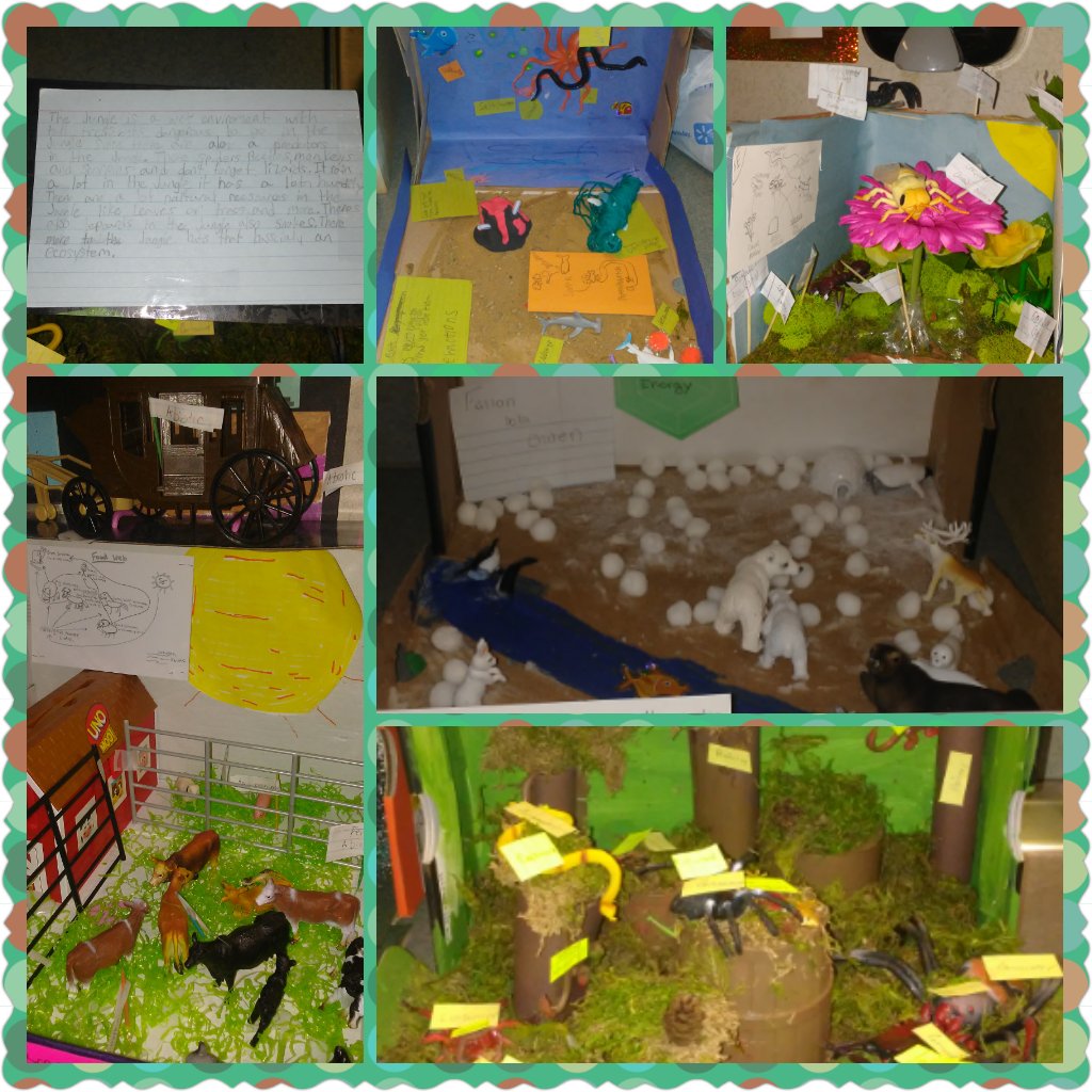 kamassie's tweet photo. #CISDFixerUpper Different Ss sign-up to teach the daily bell work. SS design & created ecosystems in a box with their team. #SsLeadLearning https://t.co/8RMeJZihta