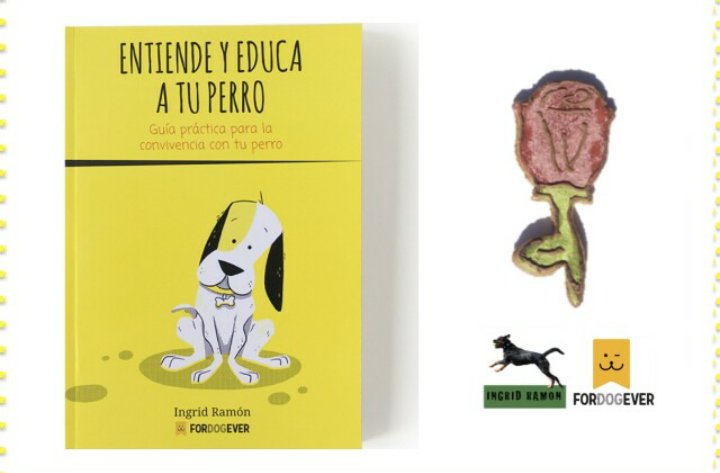 ForDOGever's tweet image. Sant Jordi 📓⚘🐶🐶 en #ForDOGever con el Libro de @educapositiu