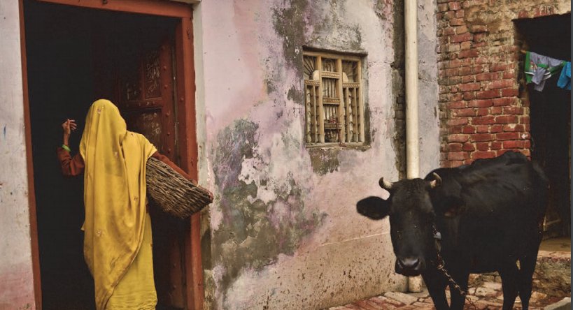 Lack of sanitation undermines other human rights, including health &amp; gender equality says new @HRW report: ow.ly/ws5b30aZeXx