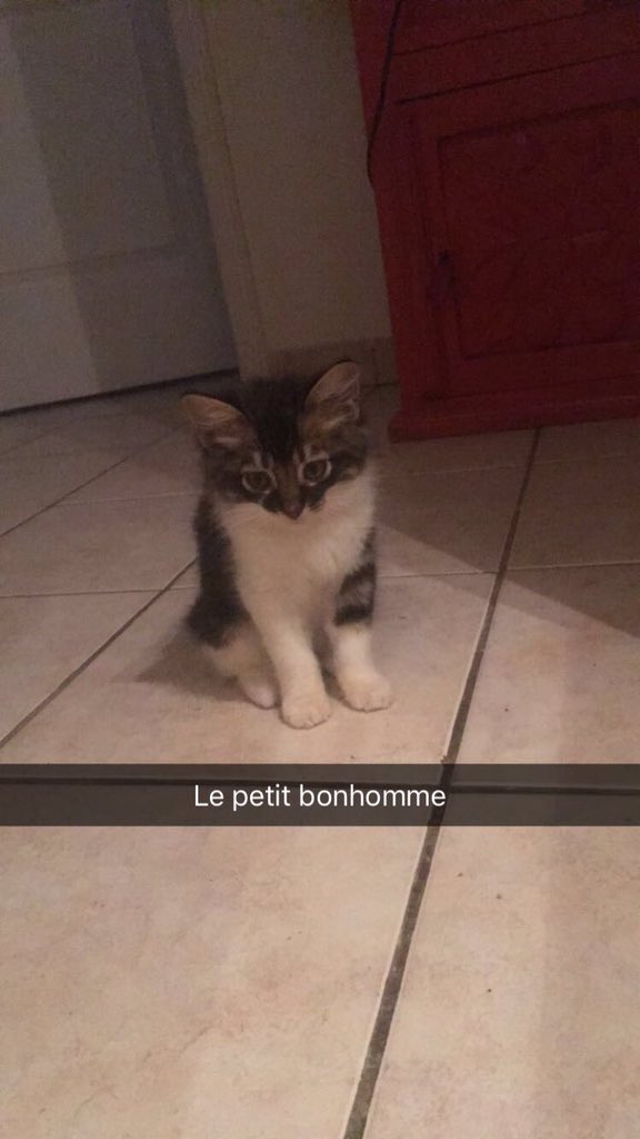 ShaZenOffi's tweet photo. Bon vu que @ColmanLegrand se croit imbattable, faîtes vos jeux ! 
#RT pour Baloo
#LIKE pour Colin https://t.co/xgxvPXTNK4