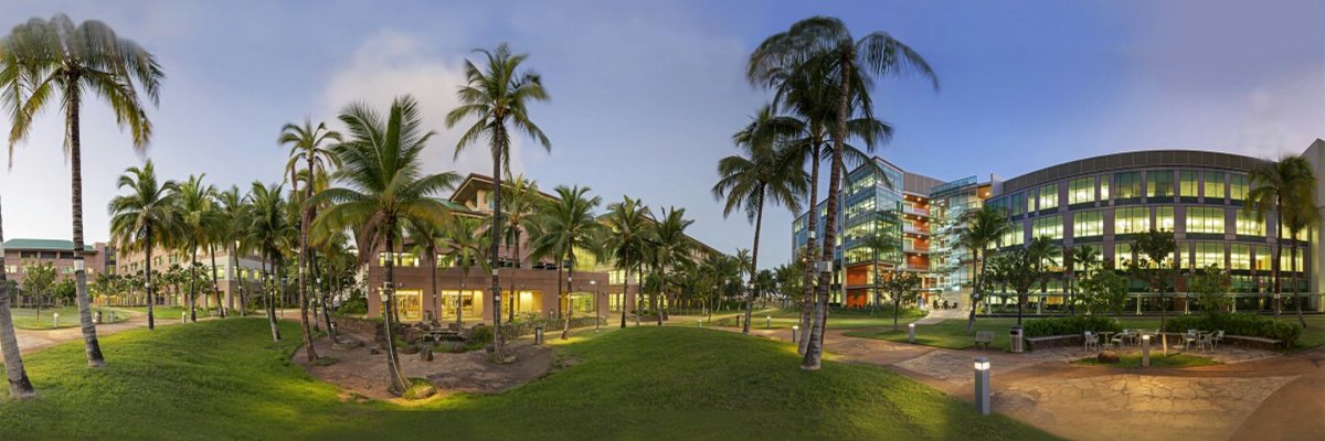 U_of_Hawaii's tweet photo. Follow us guys!! https://t.co/f2KUMutyPw