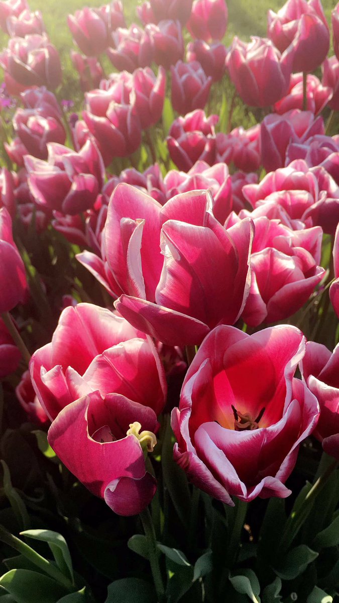 alomranfotos's tweet photo. لقطات سنابية من اسطنبول الجزء الثاني 🇹🇷 https://t.co/o0D1hViVQD