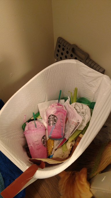 Where the unicorn frappe from @Starbucks belongs.   #unicornfrappuccino #unicornfrapp  #shame #unicorn<a class="tags" target="_blank" title="On Twitter" href="/?out=eyJ0eXAiOiJKV1QiLCJhbGciOiJIUzUxMiJ9.eyJpYXQiOjE3MjYzMDQzNjgsImlzcyI6InR3cG9ybnN0YXJzLmNvbSIsIm5iZiI6MTcyNjMwNDM2OCwiZXhwIjoxNzU3ODQwMzY4LCJyZWRpcmVjdF91cmwiOiJodHRwczovL3R3aXR0ZXIuY29tL1N0YXJidWNrcyJ9.r57Yt_rUhDoR-NXys98Arq8mgz6hogGl5fWwo1ROE0aRzj6Re8yASNdjrEkrVHlGWpdt9ZMr3js_uk_WxOZXHQ">@Starbucks</a><a href="/tag/unicorn"class="tags"><span>#unicorn</span></a><a href="/tag/rainbow"class="tags"><span>#rainbow</span></a><a href="/tag/shame"class="tags"><span>#shame</span></a><a href="/tag/trashcan"class="tags"><span>#trashcan</span></a><a href="/tag/unicornfrappuccino"class="tags"><span>#unicornfrappuccino</span></a>