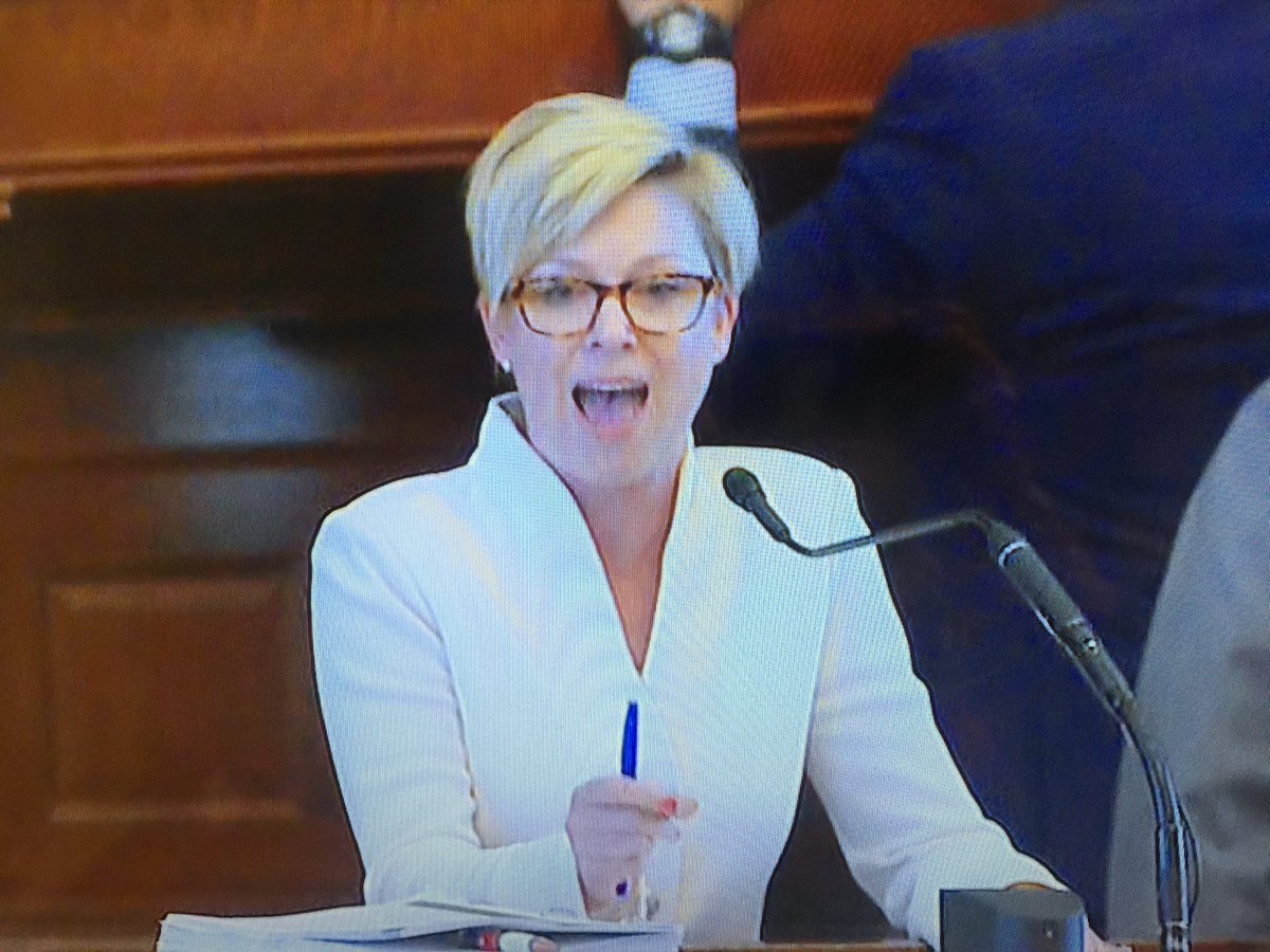 So @SarahforHD134 channeling her inner <a href="/HouseofCards/">House of Cards</a> today. What's up Claire Underwood. Hair,suit and all. #txlege