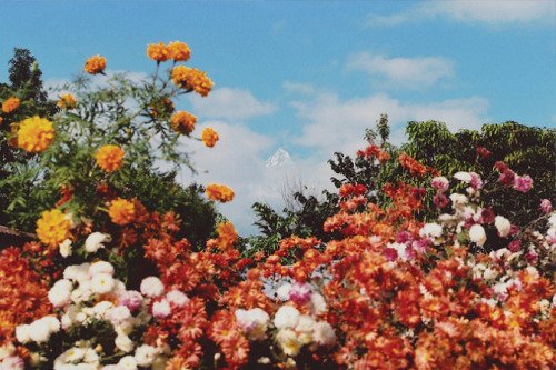 Can someone please take me here.