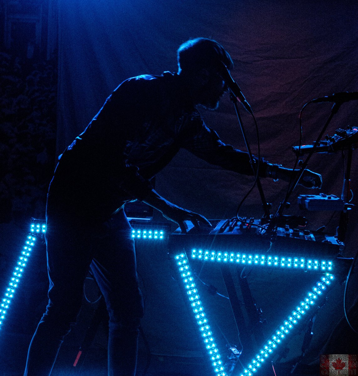 Moose on the Loose tweet media