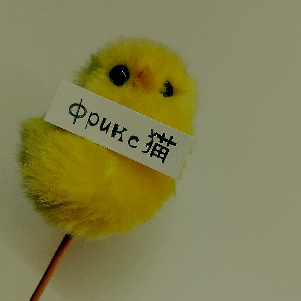 mcr_greenmy's tweet image. #ФайнисФолловитКаждого
Хэхэй, кому сигну с цыпой? 🌿
Сделаю только фолловерам,
так что фоллоу ми (я взаимный)
RT этот твит
💕💕