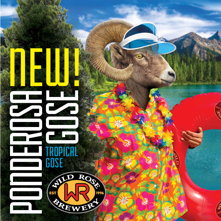 WildRoseBrewery's tweet photo. Try the #GoseBerry at the #taproom today! #PonderosaGose + #WraspberryAle = Summer in Alberta! https://t.co/wRkDyChabq