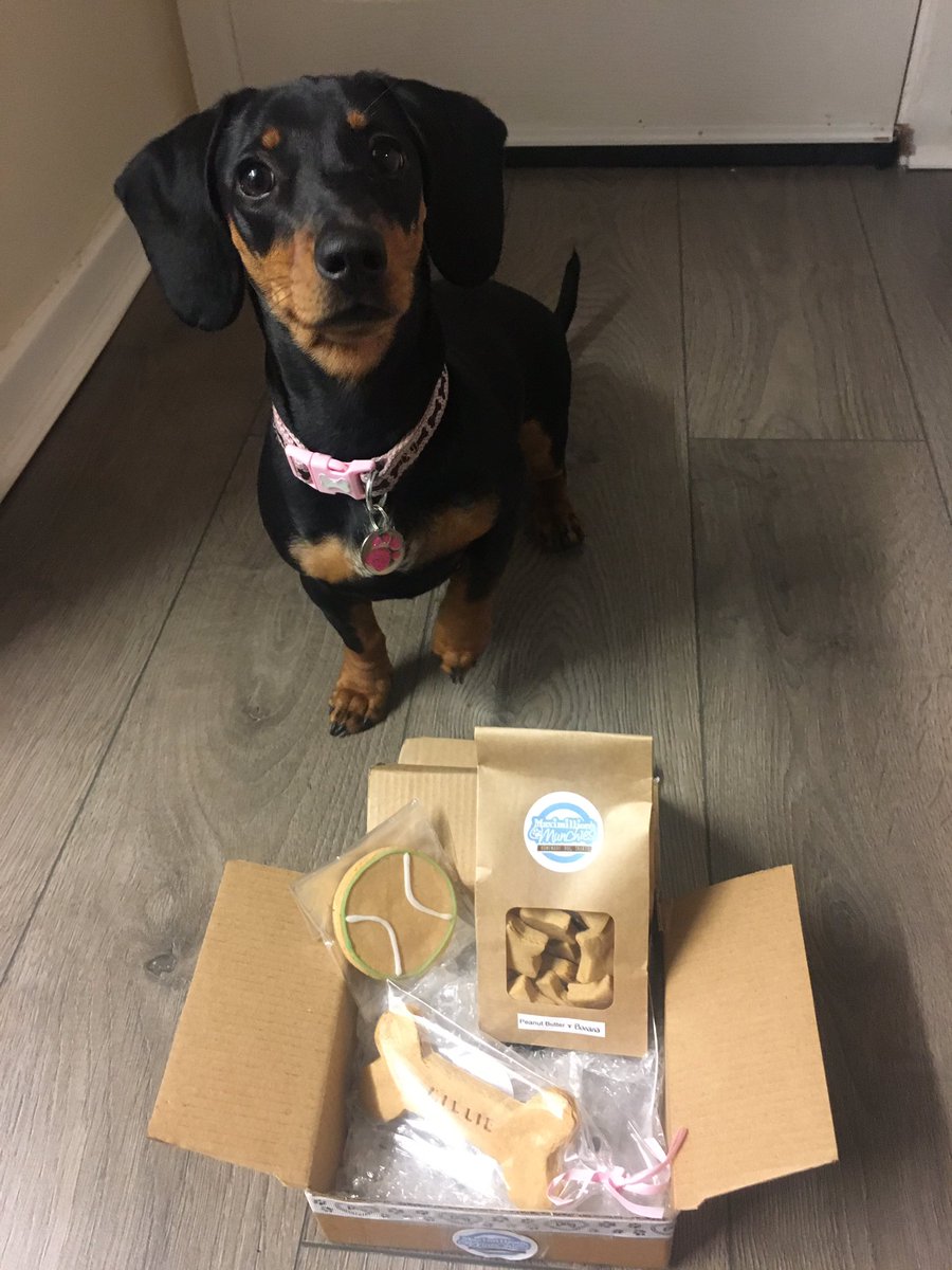 #woofwoofwednesday check out these companies <a href="/HuxleyHoundUK/">Huxley Hound</a> <a href="/BarkingBakeryCo/">BarkingBakeryCompany</a> <a href="/WoofCakes1/">WoofCakes Dog bakery</a> and <a href="/maxsmunch/">✩ Maximillionsmunchies ✩</a> great quality products 😍😍😍😍😍