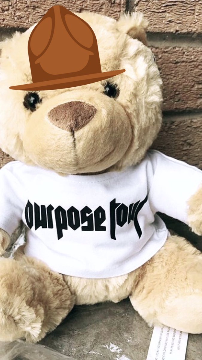 PurposeWoldTour's tweet photo. New #bieberbear #PurposeTourStadiums https://t.co/V5lfiQmbBR