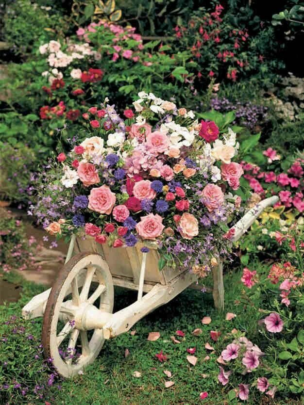 Awtaralkethara's tweet photo. @awtardesigns @anaholm123 مبروووووك https://t.co/MKVAyOMpya