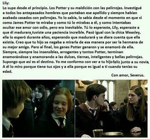La carta de Snape a Lily.