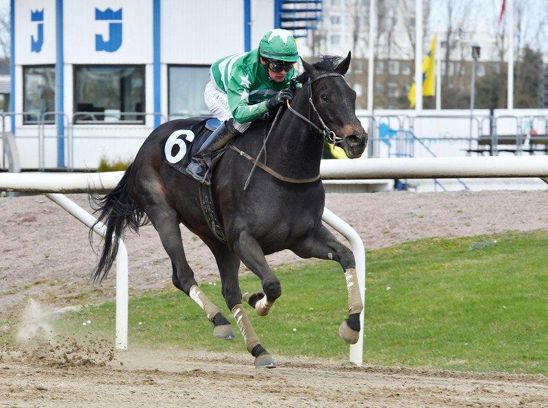 360 NorthHorseRacing tweet media