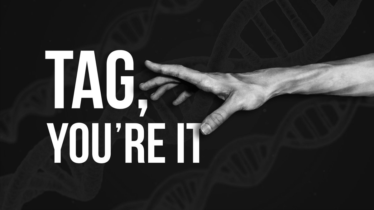 Missed all the midweek fun this week? Don’t worry Sundays coming and so is our new series #tagyoureit