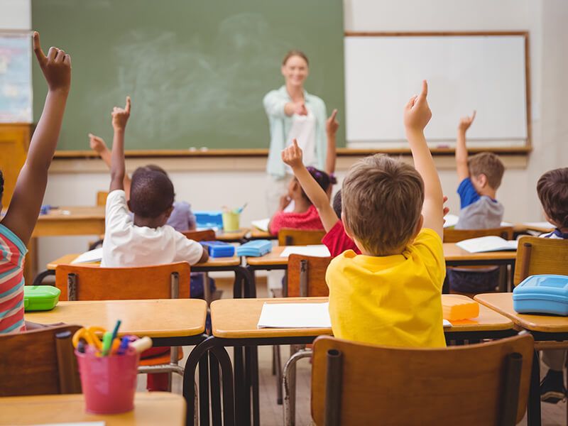 childrensguild's tweet photo. โLearning styles place children in boxes." #TranZed does the opposite. Learn more at https://t.co/xKnFXZoyQ1 https://t.co/TA1XubVkwz https://t.co/VU6eScYcnH