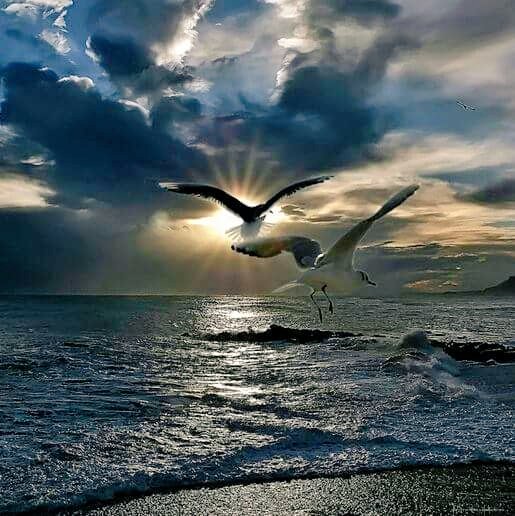 <a href="/sifChaudhary/">asif</a> <a href="/NerissaaEmy/">Emy Nerissa</a> @soundgarden44 <a href="/TlrWorldWidellc/">TlrWorldWidellc</a> <a href="/whing7/">whing</a>