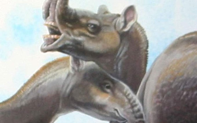 Преглед на изображението в Twitter