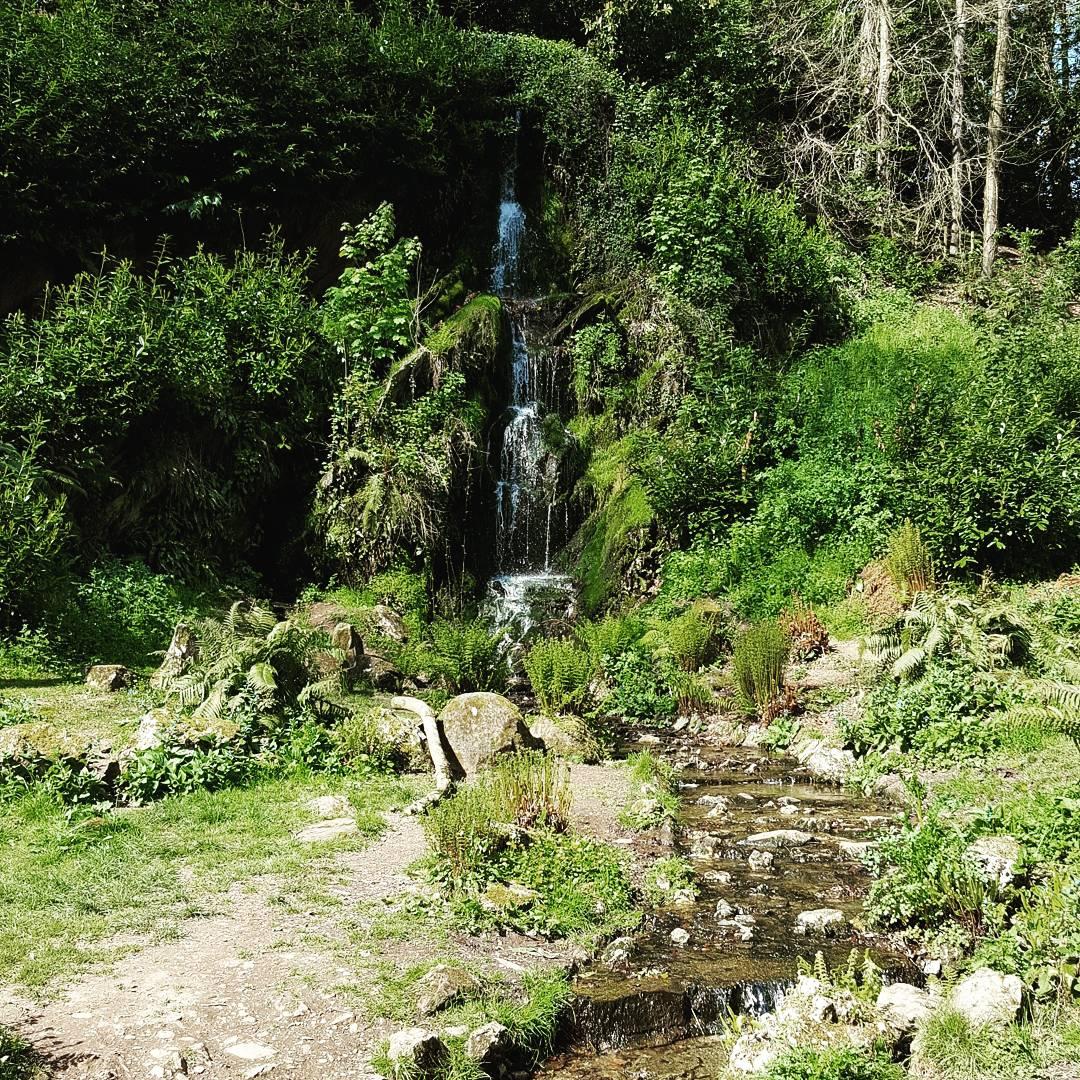 lovesomersetonl's tweet photo. Lovely visit @HestercombeGdns today - I adore The Great Cascade 😍 #gardenappeallaunch #Hestercombe20 #hestercombegardens #lovesomersetonline https://t.co/Jzm7udXLBm