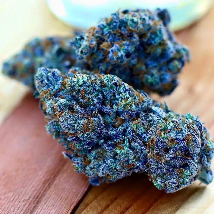 CannabisTrainU's tweet photo. What would you name this strain?

https://t.co/MMkJUf1SnG https://t.co/PybN3Du0HA https://t.co/QqtRC5RcxG