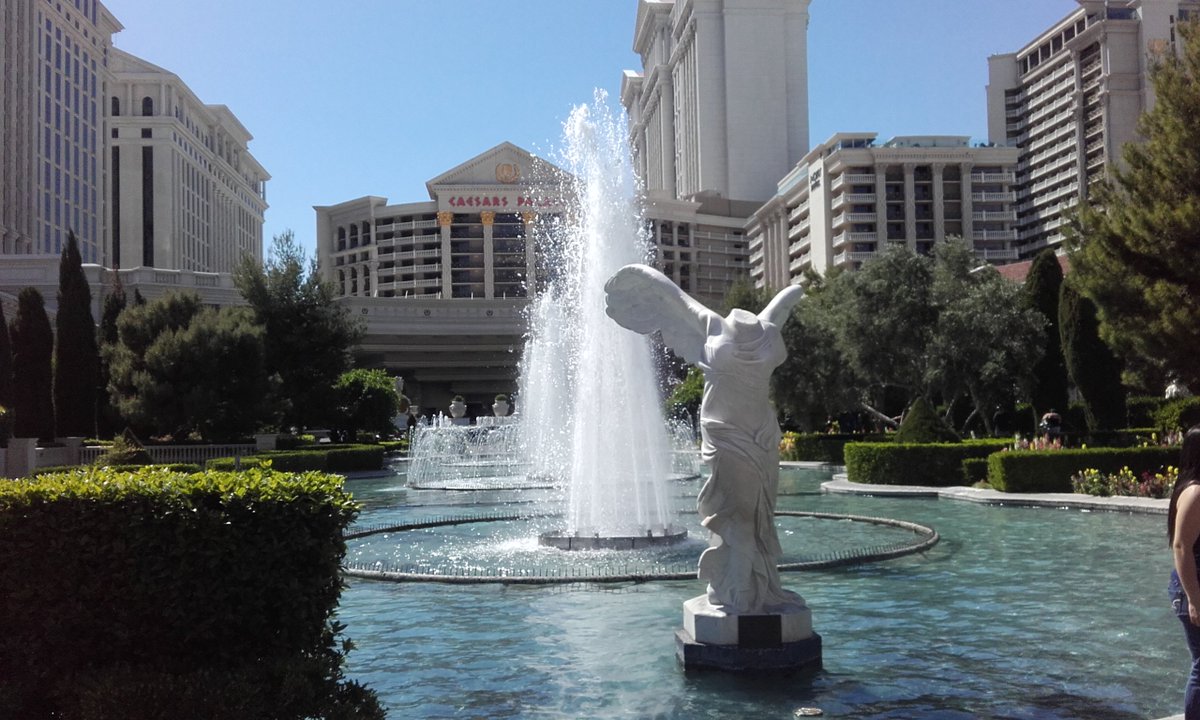 Barbara Crawford tweet media