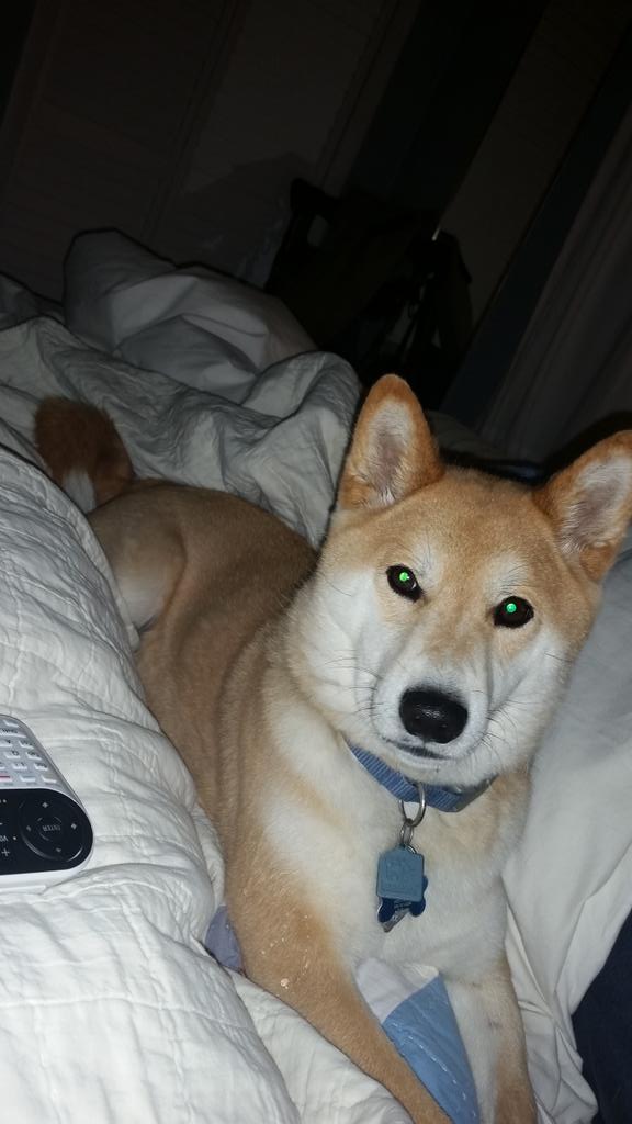 Little man chilling