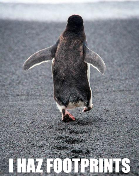 Did you know both humans and animals have unique footprints used for identification? buff.ly/1AXqAx4