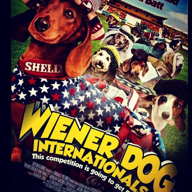 PetPure's tweet image. We are proud to be sponsors of Emmy's Hope. A non profit organization that helps rescue pe… ift.tt/1N9ceOo