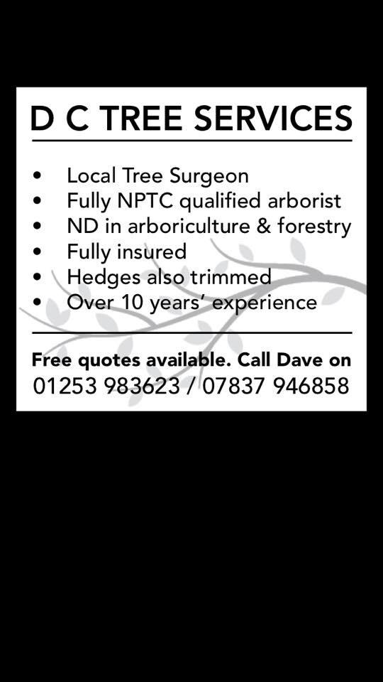 tree_dc's tweet image. I am new to Twitter, if you need any tree or hedge work doing message me for a competitive quite
