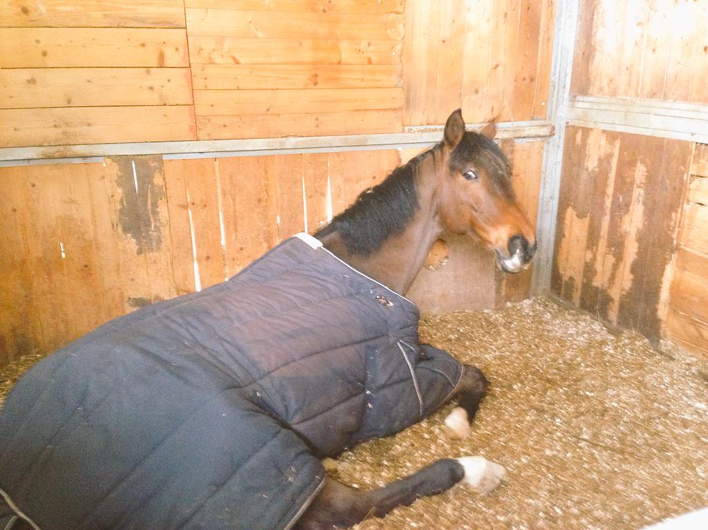 CheccaErli's tweet image. Dantino pisola!!!