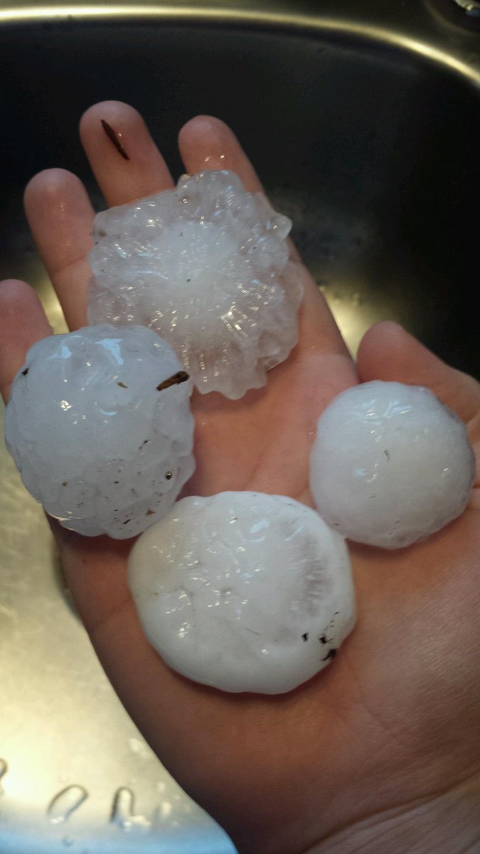 View image on Twitter