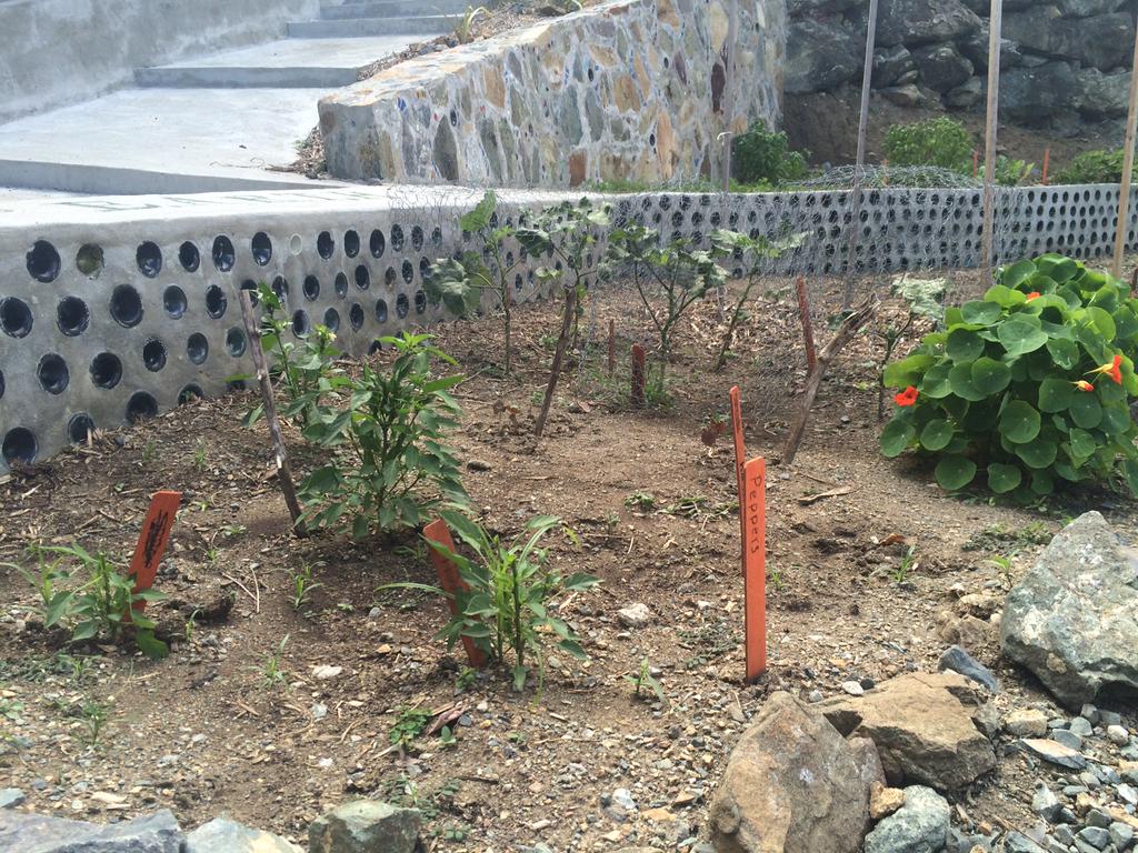 Recycled bottle wall at Gifft Hill School (St. John) built by EARTH Program students w/EFC administered mini-grant!