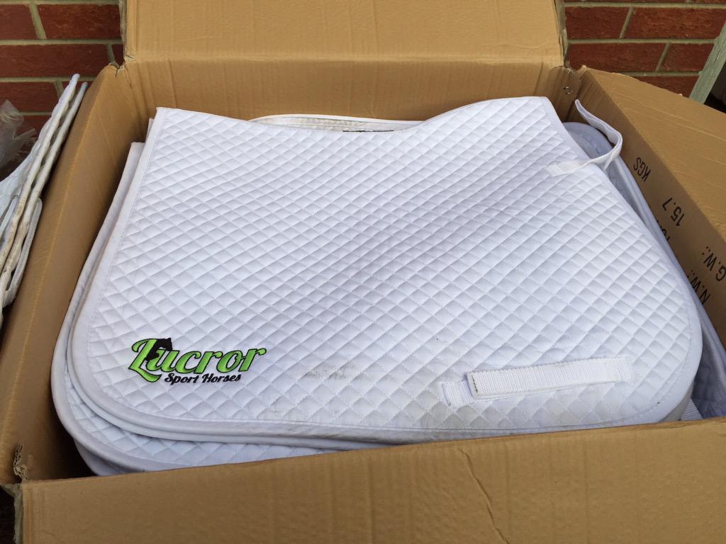 Campbell1988amy's tweet image. @LucrorSH