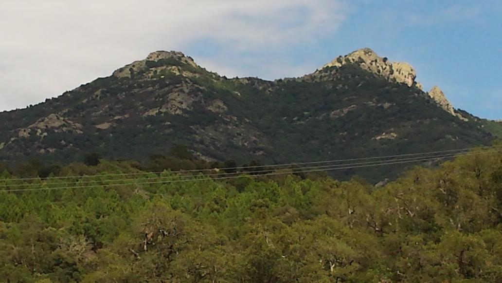 AngeloNazari's tweet image. Freinkreich