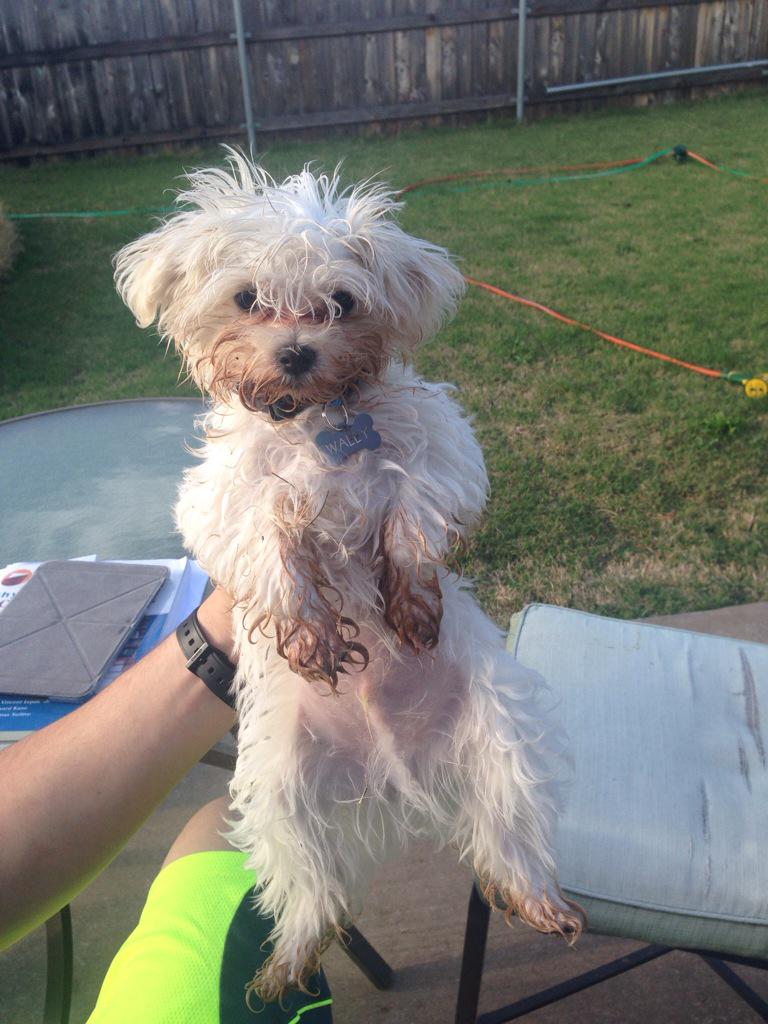 graysonstarbuck's tweet photo. @kfor http://t.co/YwNp76buzi