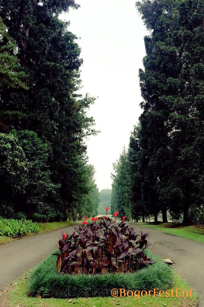 Semangat #PagiBogor ! Segala sesuatu dilakukan dari yang kecil untuk menjadi besar demi Bogor tercinta #BogohKaBogor