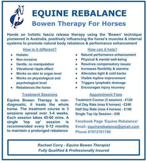 EquineRebalance's tweet image. Looking great Lauren &amp;amp; Larko @lesley_innes winning CIC* @AldonEventing representing @EquineRebalance! @BEVolunteers