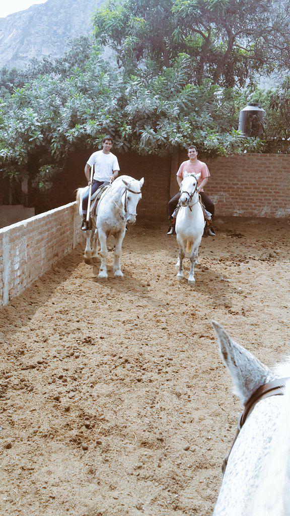 Jorge Alva tweet media