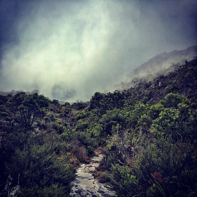 runwolfrun_za's tweet image. #cloudrunning ift.tt/1EKQK6x