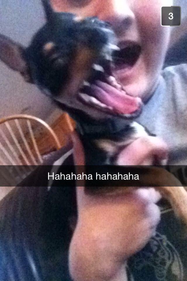 TaylorEdwards6's tweet image. She's obvi very photogenic #NationalPuppyDay