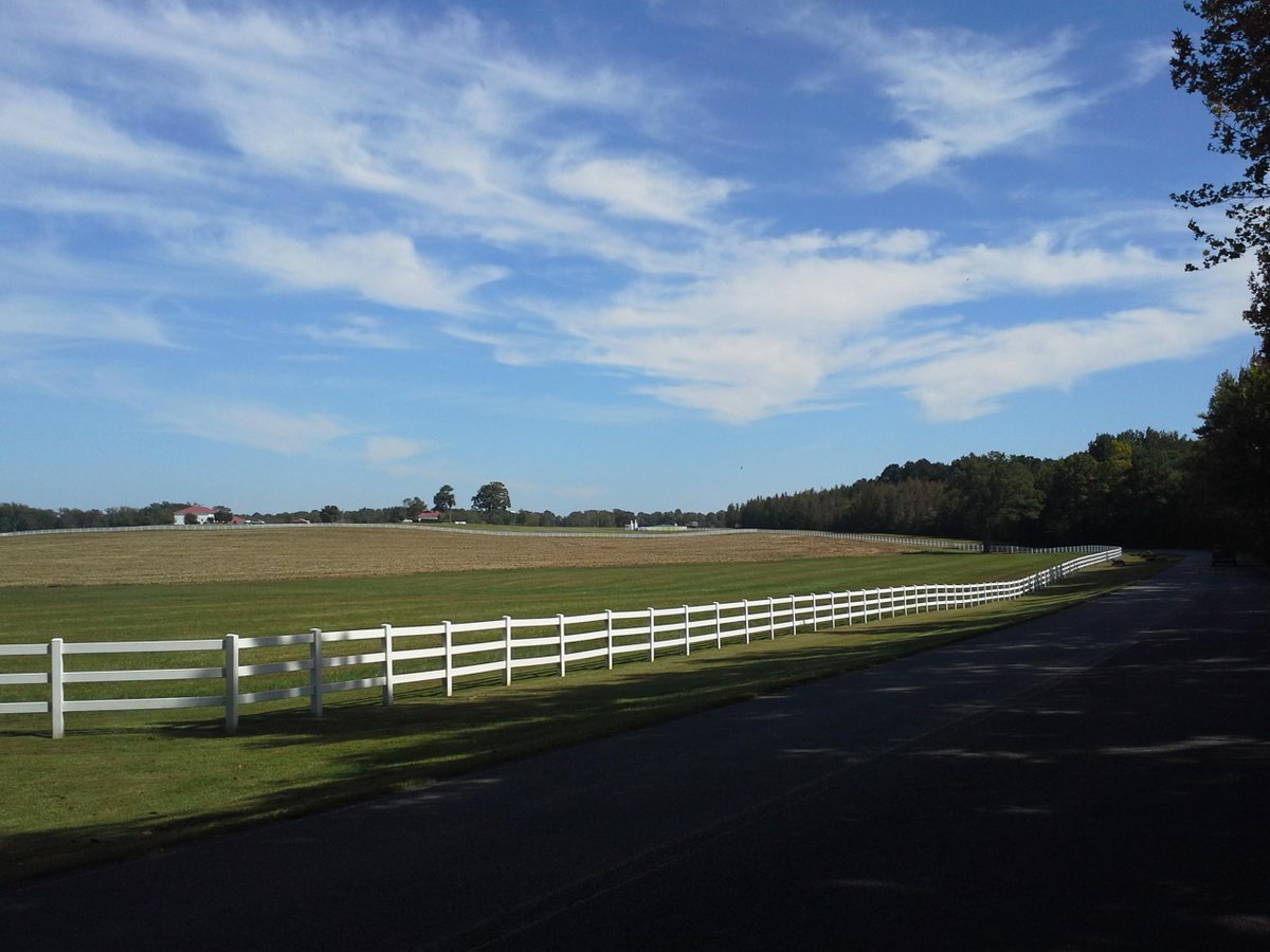 Charlotte Kushak (@mt_mom_of3) on Twitter photo 