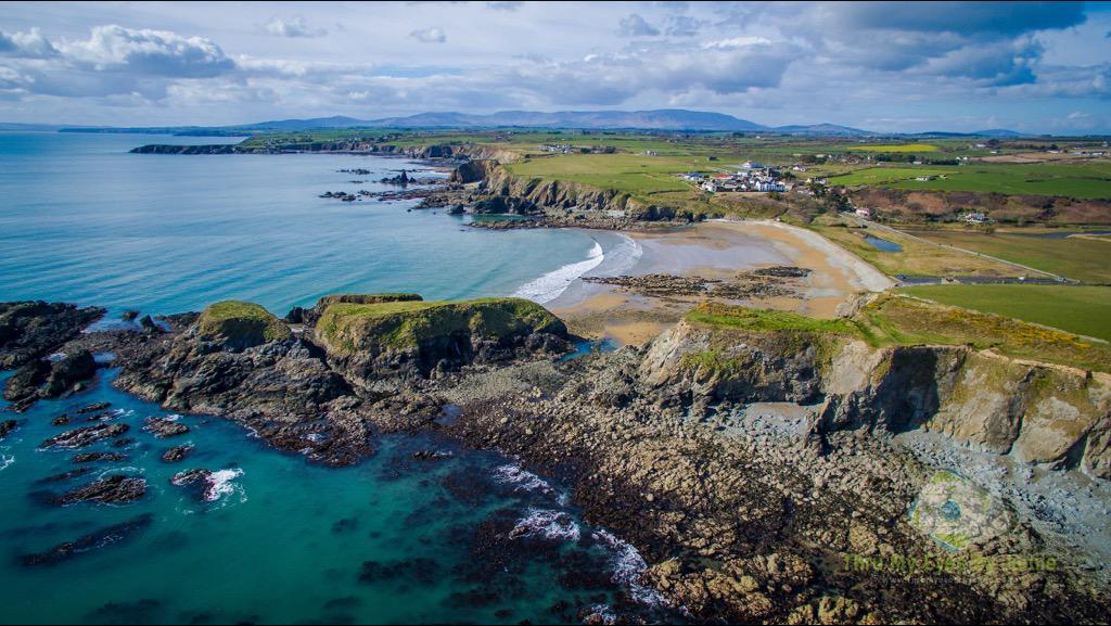 jamie malone tweet media