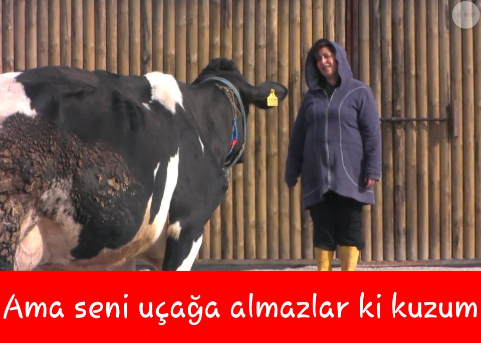 UtopyaTurkann's tweet photo. Zümrütümmm #ütopya http://t.co/vY3liEtgpU