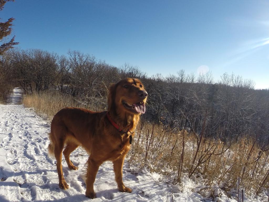 ETengwall's tweet photo. Happy #NationalPuppyDay to Princess Mia. Enjoy your day! :) http://t.co/0oS3e5HnyK