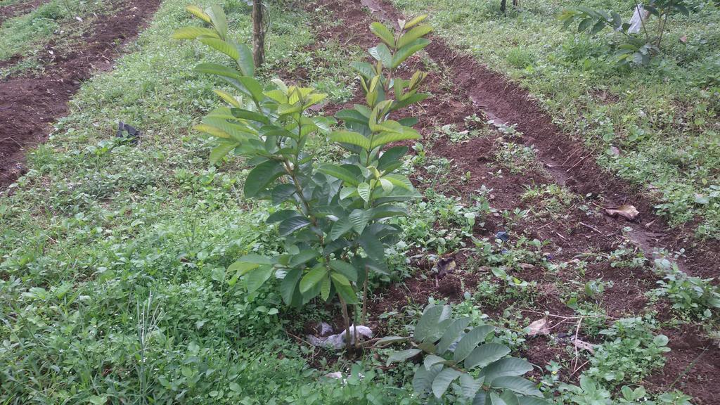 Roii (@roi_swintana19) on Twitter photo 