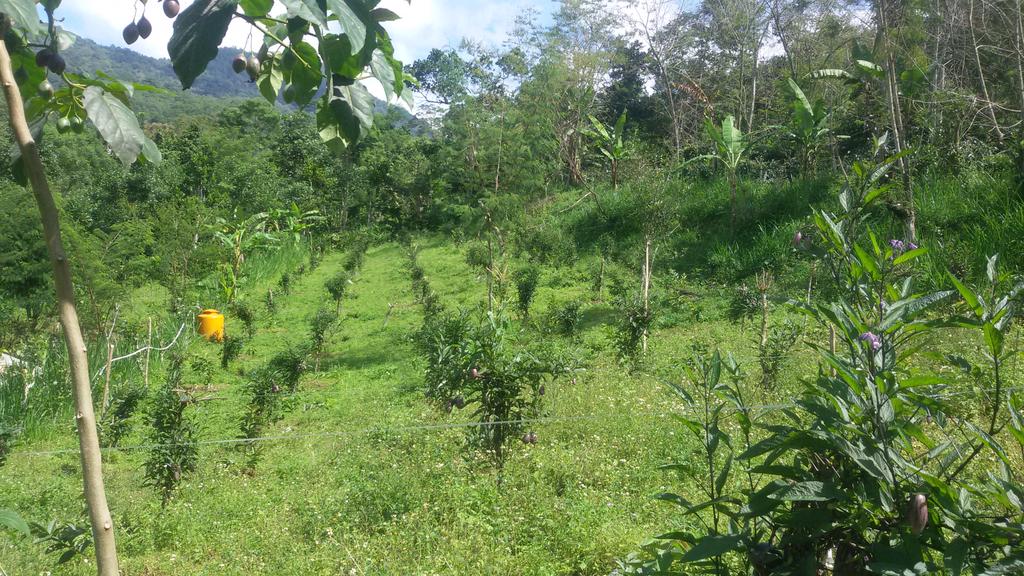 Roii (@roi_swintana19) on Twitter photo 