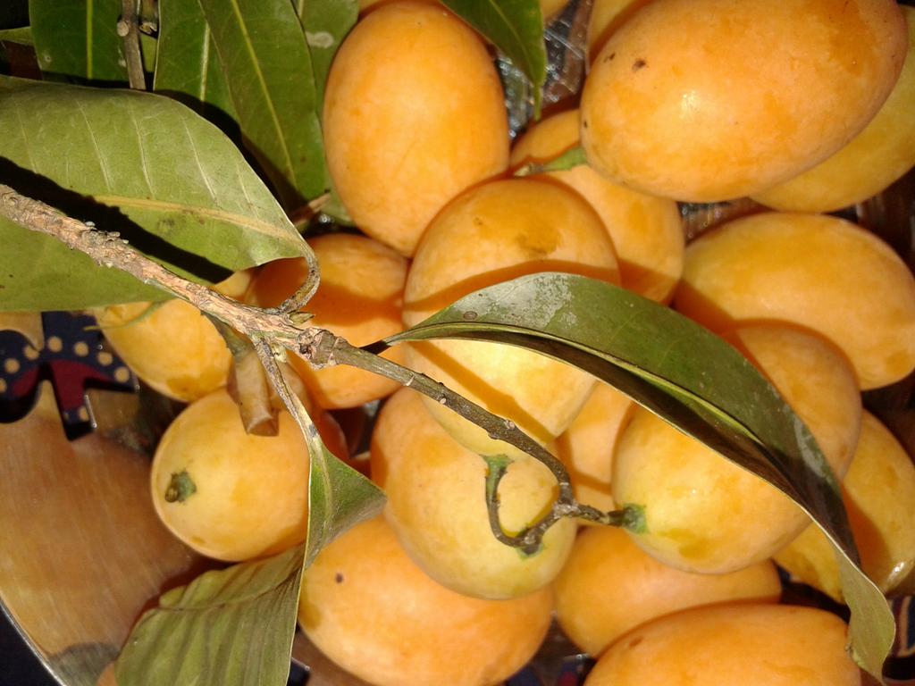 cvanvoorst's tweet image. #Maprang fruit #Thailand. Egg shaped. Looks like plum/apricot but is more related to mango. Tastes verry good!!