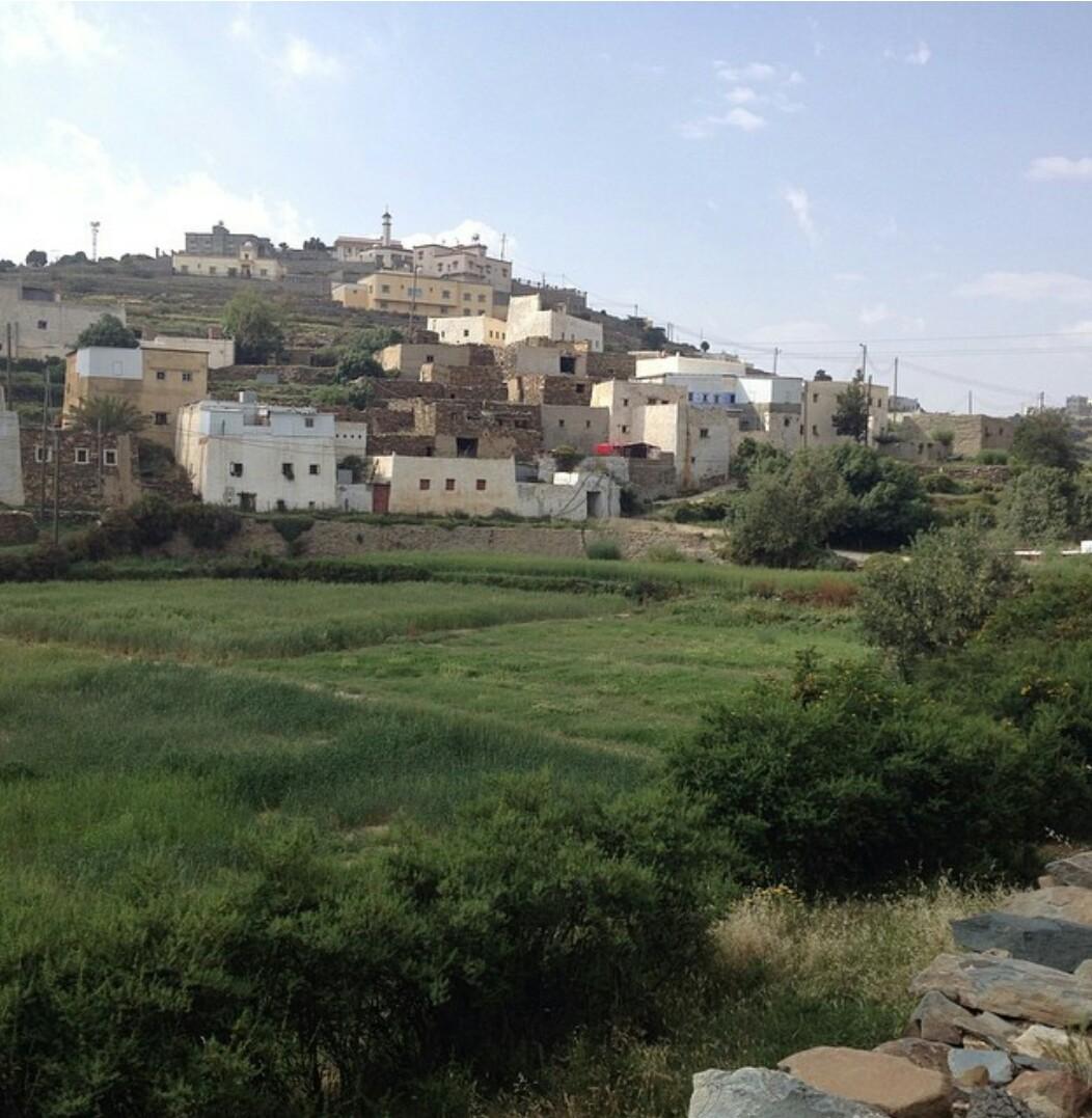 عبير الشهري (@abeer_029) on Twitter photo 