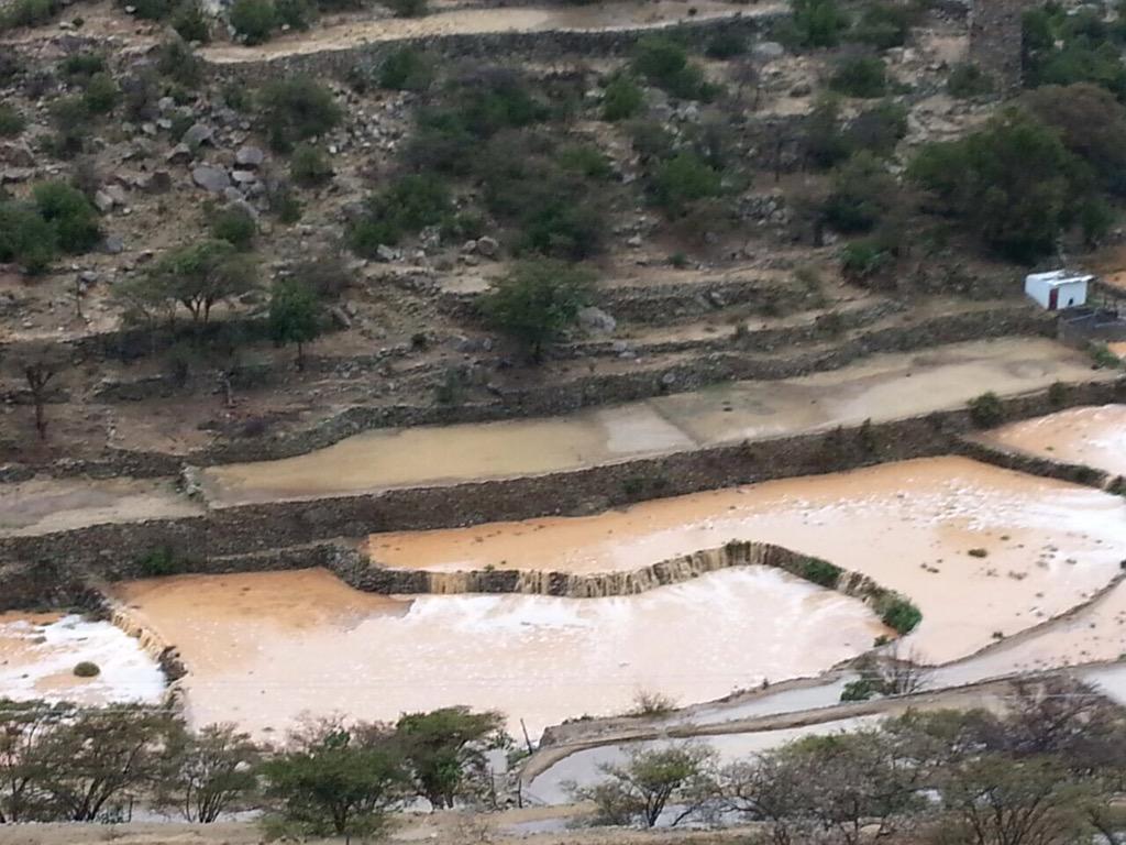 عبير الشهري (@abeer_029) on Twitter photo 