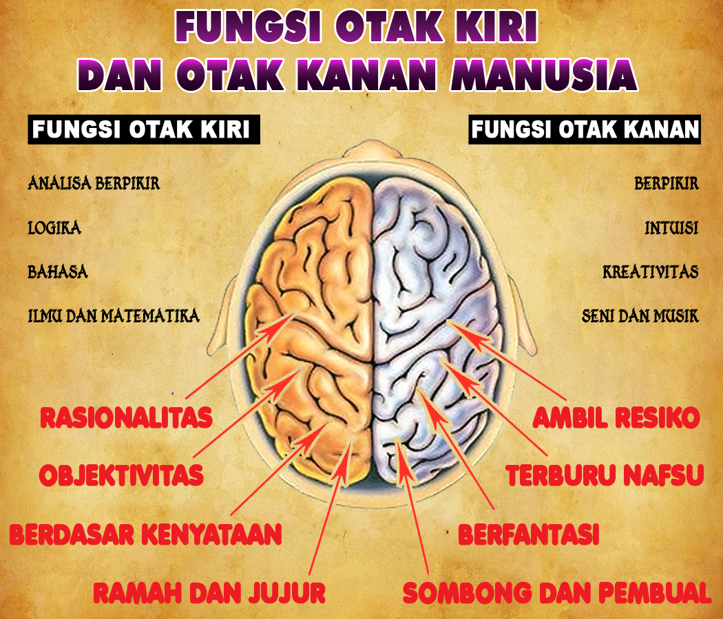 Guru Berbagi Cara Kerja Otak Kiri Dan Otak Kanan